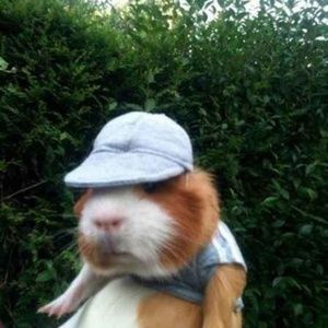 Meet your Posher, Live